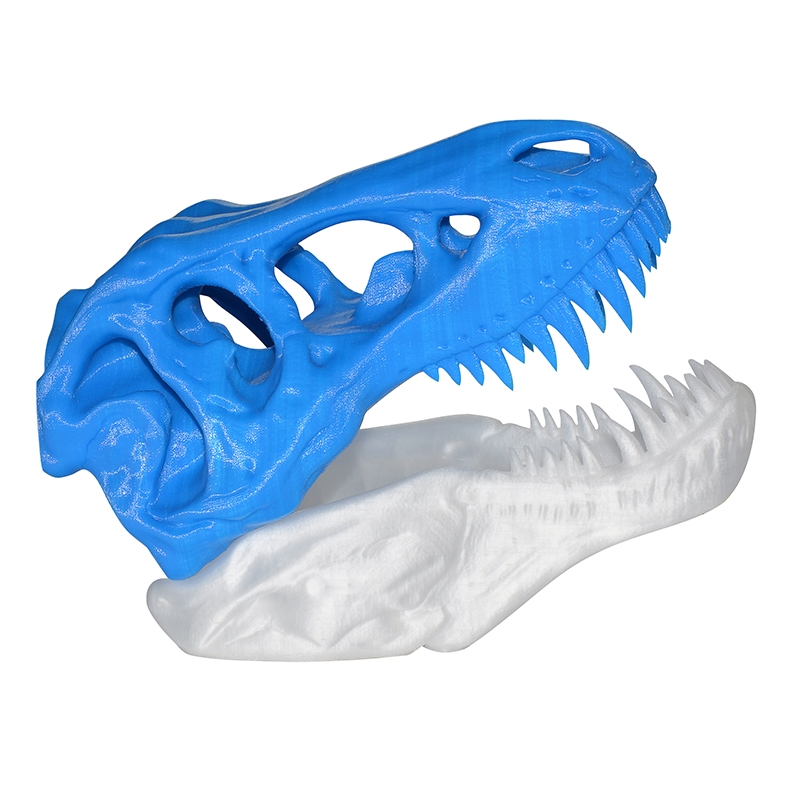 Dinosaur skulls Dinosaur skulls